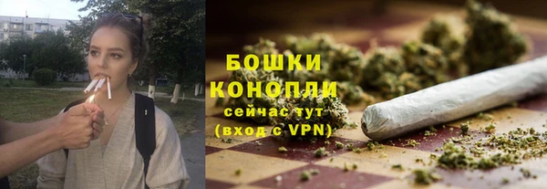 стаф Дмитриев