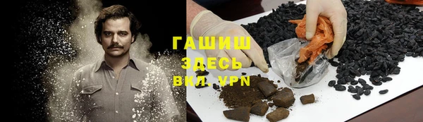 стаф Дмитров