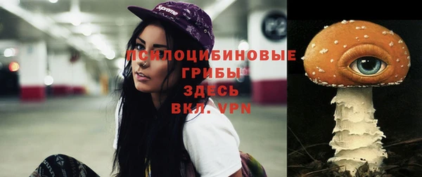 стаф Дмитров