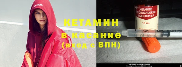 стаф Дмитров