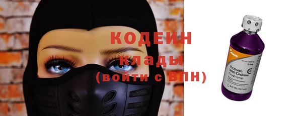 стаф Дмитриев