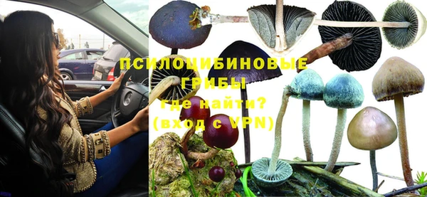 стаф Дмитриев