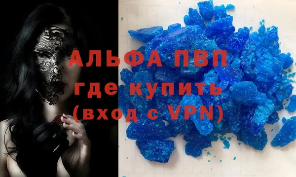 стаф Дмитров