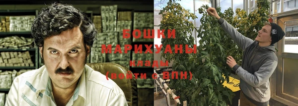 стаф Дмитров