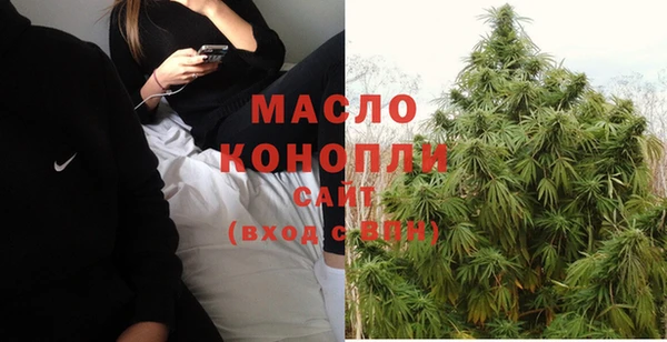 стаф Дмитриев