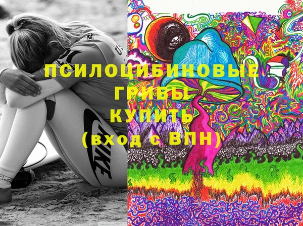 стаф Дмитров