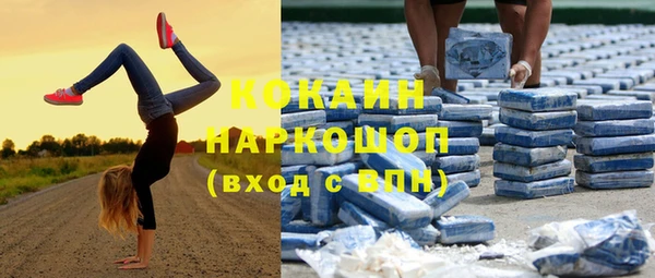 стаф Дмитров