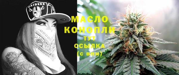 стаф Дмитриев