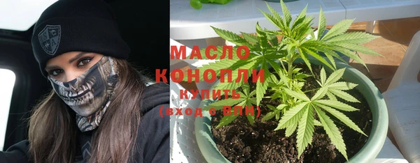 стаф Дмитриев
