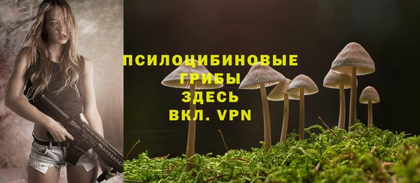 стаф Дмитриев