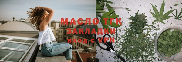стаф Дмитриев