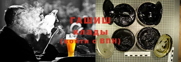 стаф Дмитров