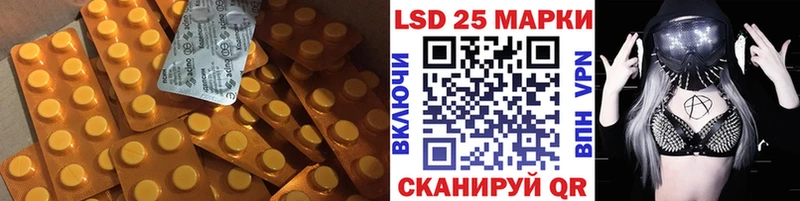 Лсд 25 экстази кислота блэк спрут зеркало Сковородино дарнет шоп