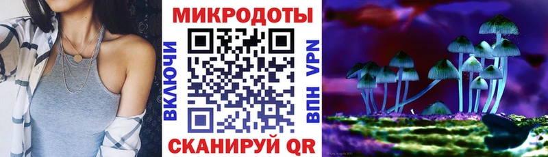Галлюциногенные грибы Psilocybe  Сковородино 